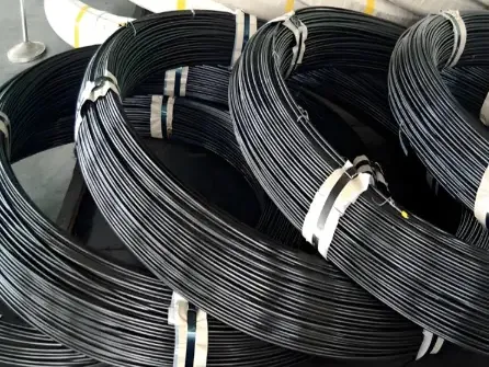 Alambre de acero para resortes 55SiCrA